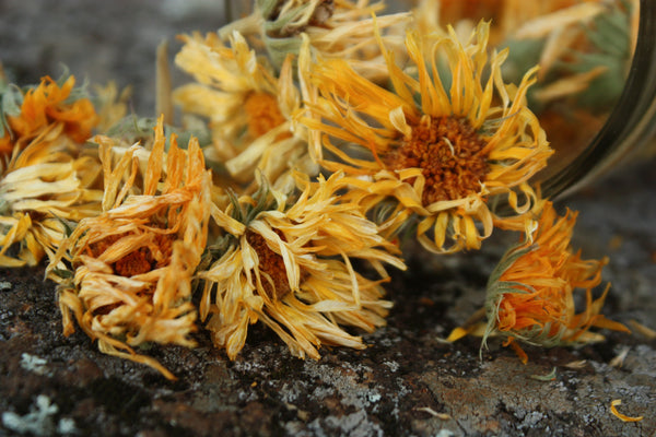 organic-calendula-flowers-natural-eczema-remedy