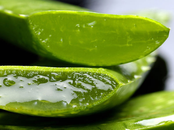 aloe-vera-cooling-natural-eczema-remedy