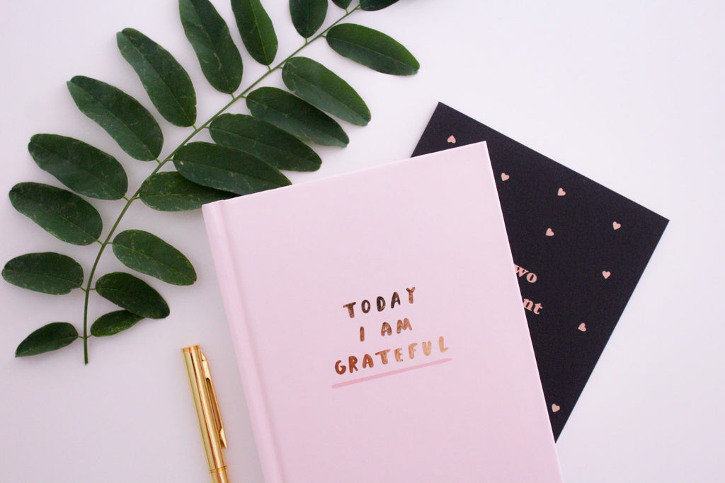 pink-gratitude-journal-