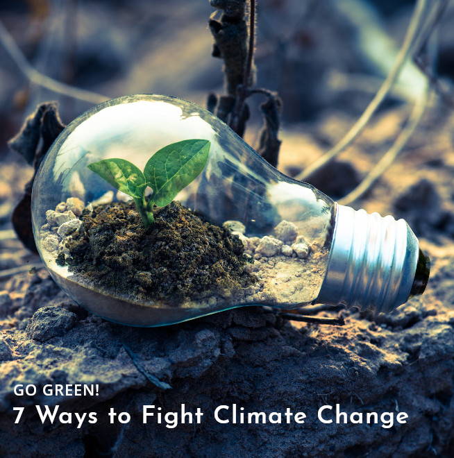 climate-change-ways-to-fight-it