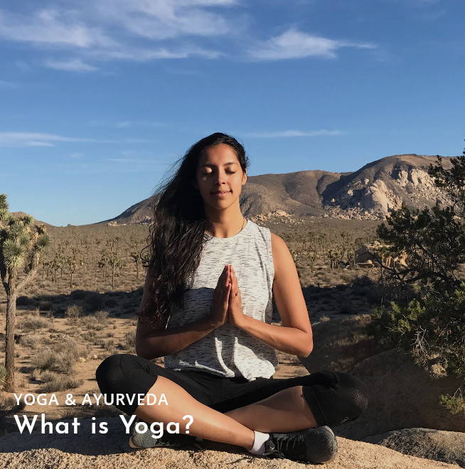 yoga-meditation-8-limb-path-joshua-tree-simply-smita