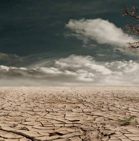 drought-destroyed-planet-harmful-food-trends-for-environment